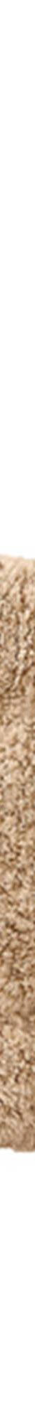 Tapis de bain losanges (sable) Tapis de bain losanges (sable)